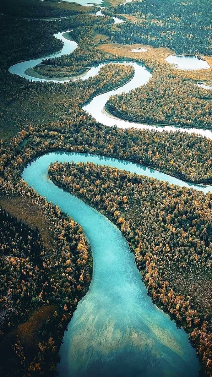 River Segment Ecosystem